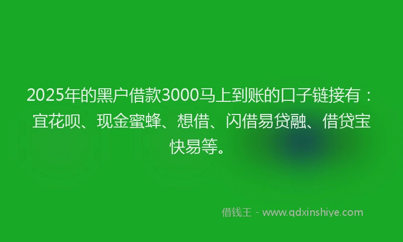 2025年的黑户借款3000马上到账的口子链接有：宜花呗、现金蜜蜂、想借、闪借易贷融、借贷宝快易等。
