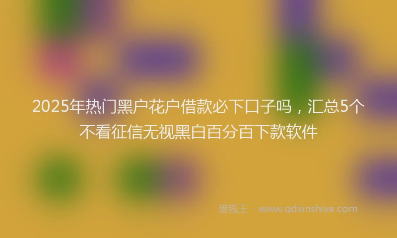 2025年热门黑户花户借款必下口子吗，汇总5个不看征信无视黑白百分百下款软件