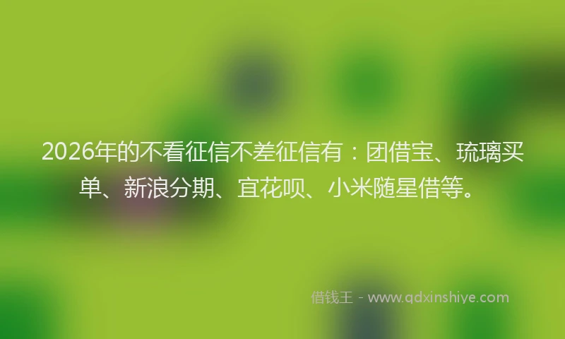 2026年的不看征信不差征信有:团借宝、琉璃买单、新浪分期、宜花呗、小米随星借等。