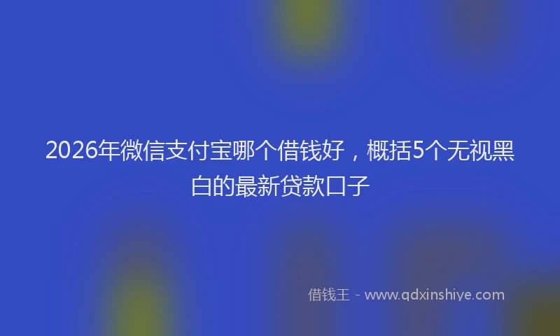 2026年微信支付宝哪个借钱好，概括5个无视黑白的最新贷款口子