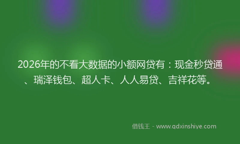 2026年的不看大数据的小额网贷有：现金秒贷通、瑞泽钱包、超人卡、人人易贷、吉祥花等。