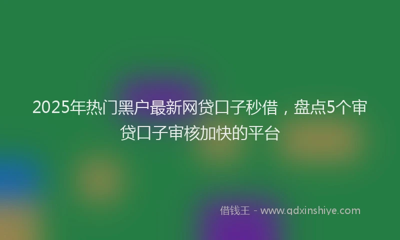 2025年热门黑户最新网贷口子秒借,盘点5个审贷口子审核加快的平台