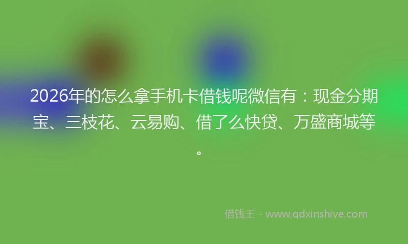 2026年的怎么拿手机卡借钱呢微信有：现金分期宝、三枝花、云易购、借了么快贷、万盛商城等。