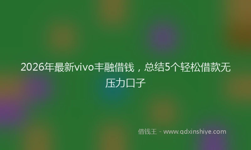 2026年最新vivo丰融借钱，总结5个轻松借款无压力口子