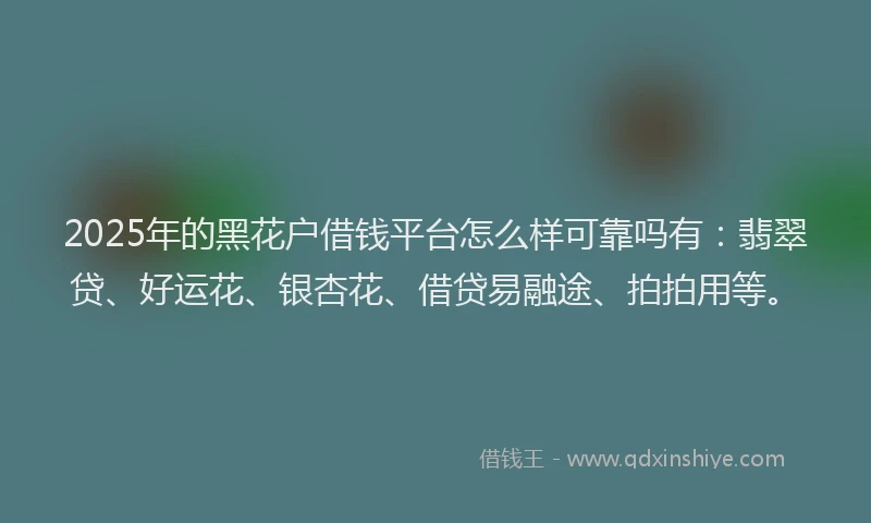 2025年的黑花户借钱平台怎么样可靠吗有:翡翠贷、好运花、银杏花、借贷易融途、拍拍用等。