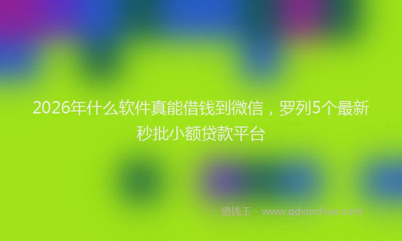 2026年什么软件真能借钱到微信,罗列5个最新秒批小额贷款平台