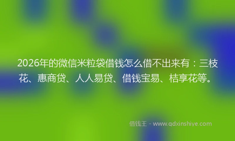 2026年的微信米粒袋借钱怎么借不出来有：三枝花、惠商贷、人人易贷、借钱宝易、桔享花等。