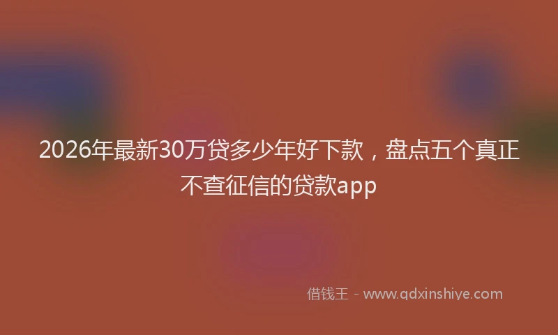 2026年最新30万贷多少年好下款，盘点五个真正不查征信的贷款app