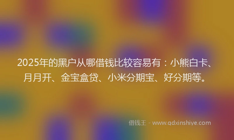 2025年的黑户从哪借钱比较容易有：小熊白卡、月月开、金宝盒贷、小米分期宝、好分期等。