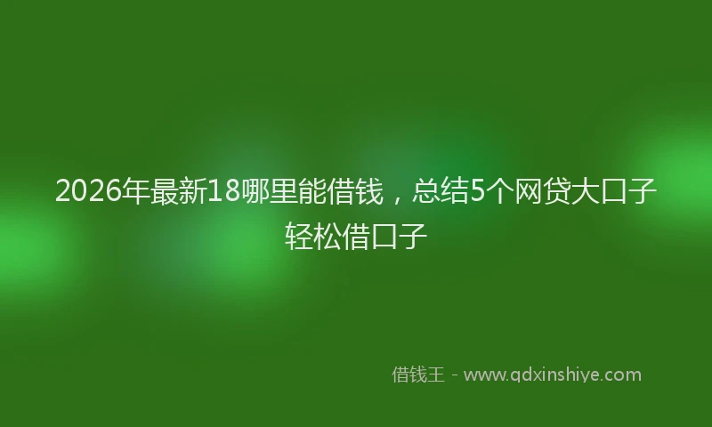 2026年最新18哪里能借钱,总结5个网贷大口子轻松借口子