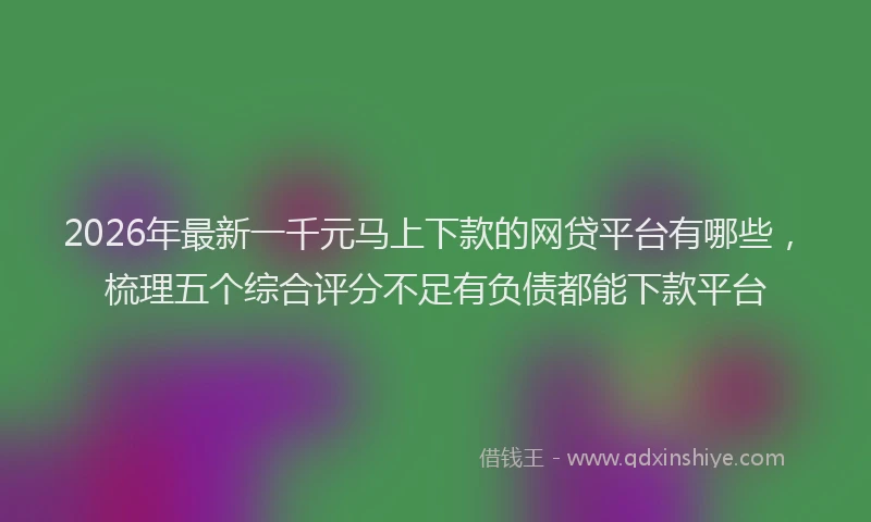 2026年最新一千元马上下款的网贷平台有哪些，梳理五个综合评分不足有负债都能下款平台