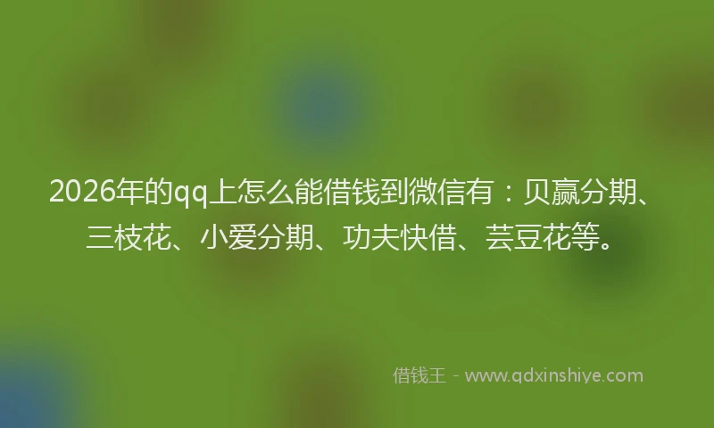 2026年的qq上怎么能借钱到微信有:贝赢分期、三枝花、小爱分期、功夫快借、芸豆花等。