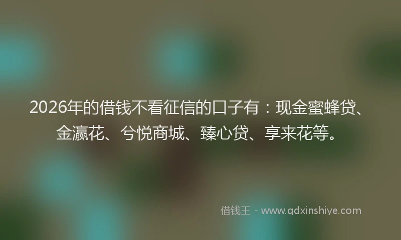 2026年的借钱不看征信的口子有：现金蜜蜂贷、金瀛花、兮悦商城、臻心贷、享来花等。