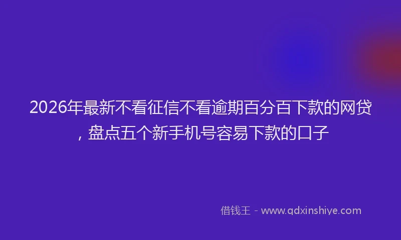 2026年最新不看征信不看逾期百分百下款的网贷,盘点五个新手机号容易下款的口子