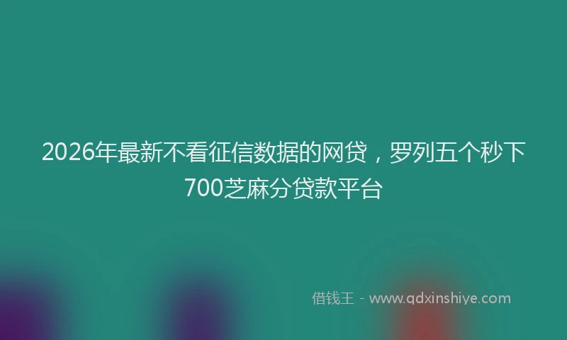 2026年最新不看征信数据的网贷,罗列五个秒下700芝麻分贷款平台