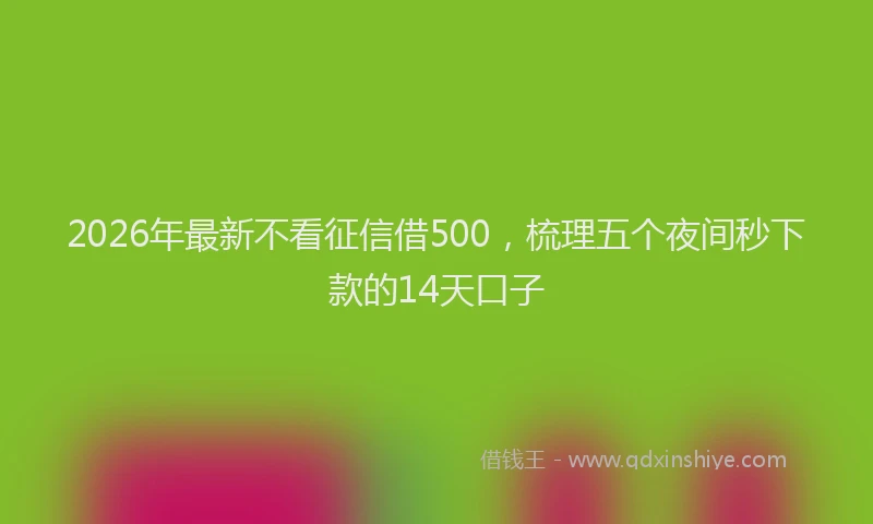 2026年最新不看征信借500，梳理五个夜间秒下款的14天口子