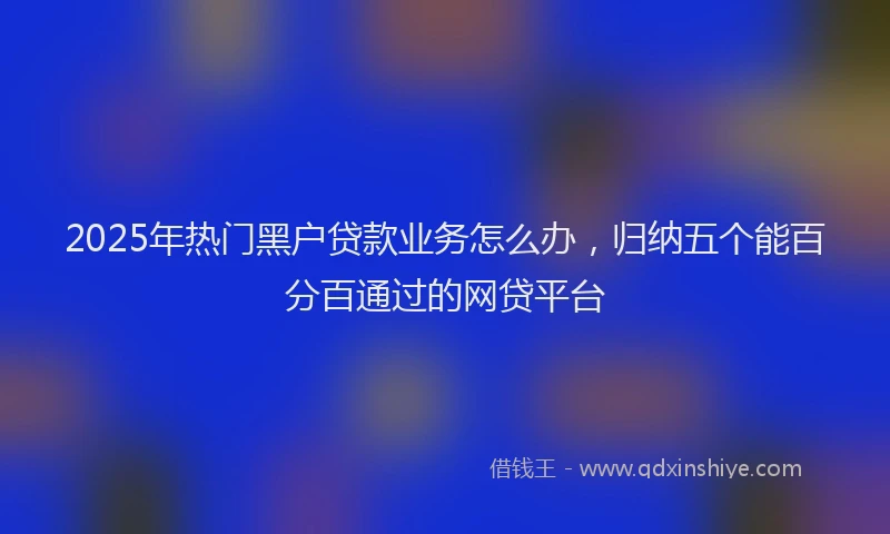 2025年热门黑户贷款业务怎么办，归纳五个能百分百通过的网贷平台