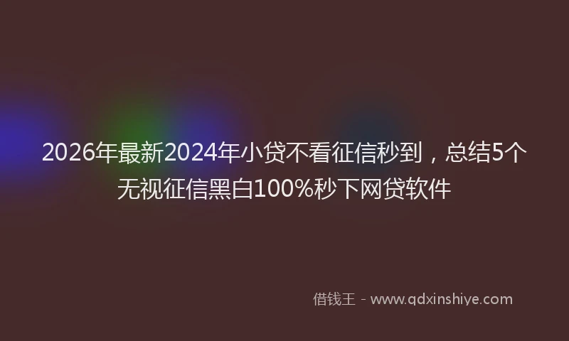 2026年最新2024年小贷不看征信秒到,总结5个无视征信黑白100%秒下网贷软件
