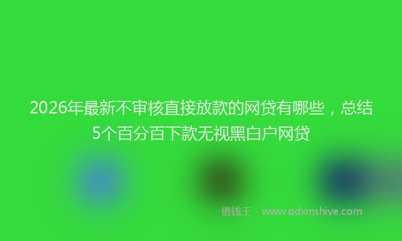 2026年最新不审核直接放款的网贷有哪些,总结5个百分百下款无视黑白户网贷