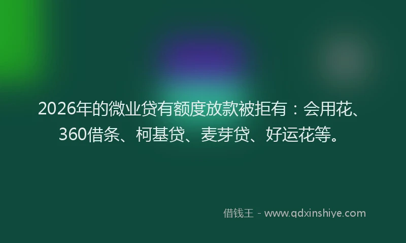 2026年的微业贷有额度放款被拒有：会用花、360借条、柯基贷、麦芽贷、好运花等。