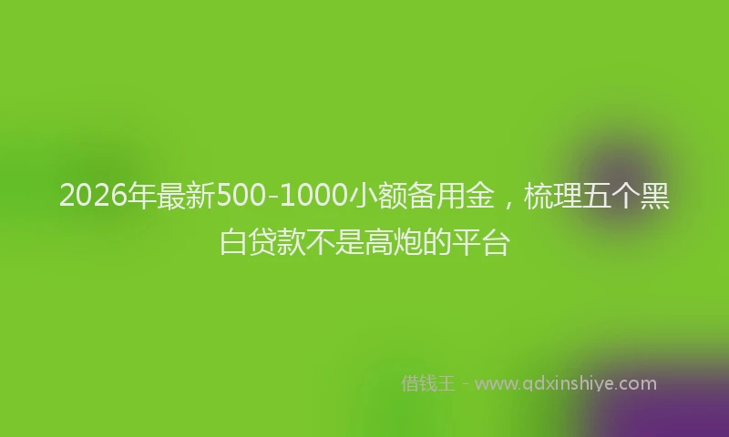 2026年最新500-1000小额备用金，梳理五个黑白贷款不是高炮的平台