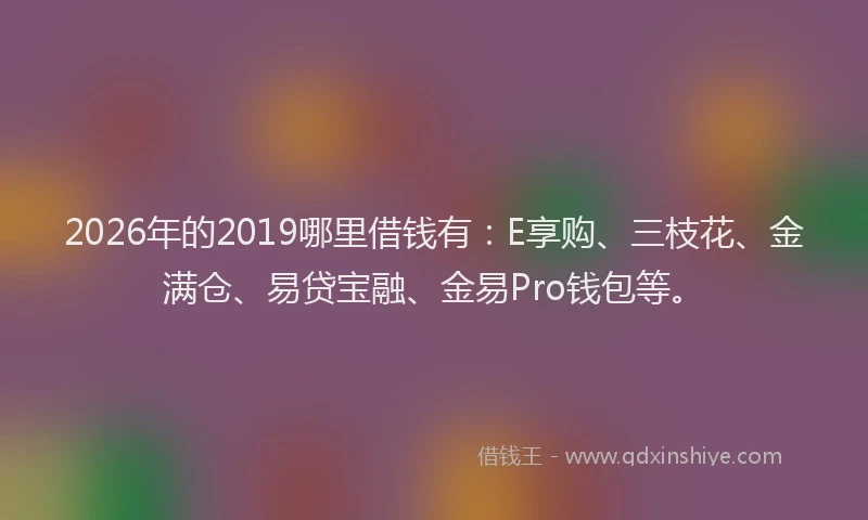 2026年的2019哪里借钱有：E享购、三枝花、金满仓、易贷宝融、金易Pro钱包等。