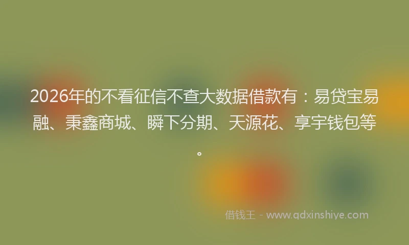 2026年的不看征信不查大数据借款有:易贷宝易融、秉鑫商城、瞬下分期、天源花、享宇钱包等。