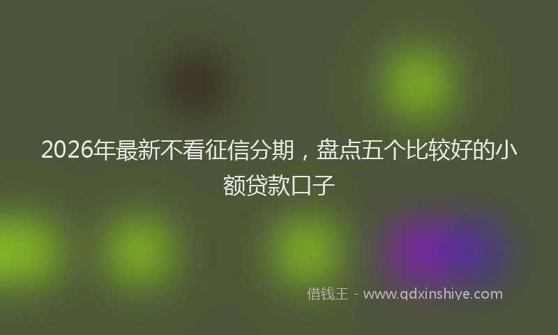2026年最新不看征信分期,盘点五个比较好的小额贷款口子