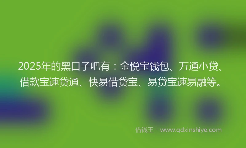2025年的黑口子吧有:金悦宝钱包、万通小贷、借款宝速贷通、快易借贷宝、易贷宝速易融等。