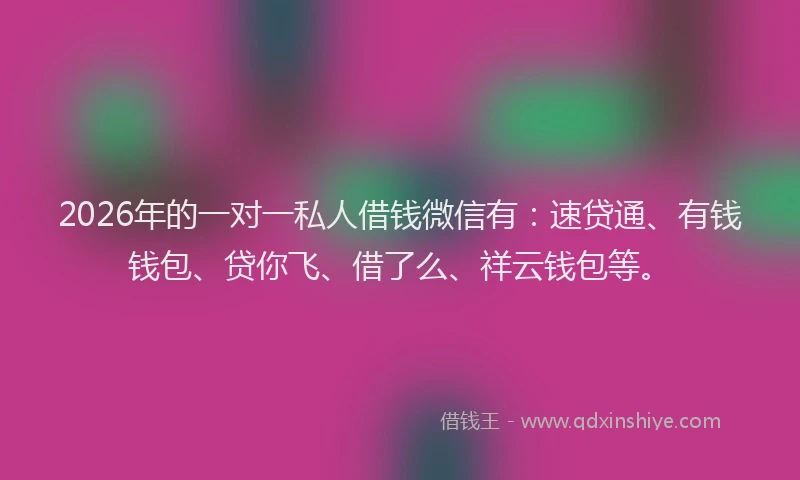 2026年的一对一私人借钱微信有:速贷通、有钱钱包、贷你飞、借了么、祥云钱包等。