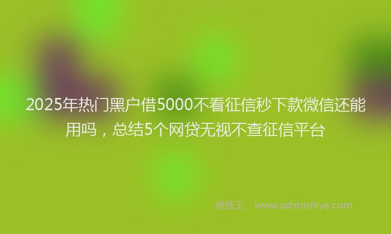 2025年热门黑户借5000不看征信秒下款微信还能用吗，总结5个网贷无视不查征信平台