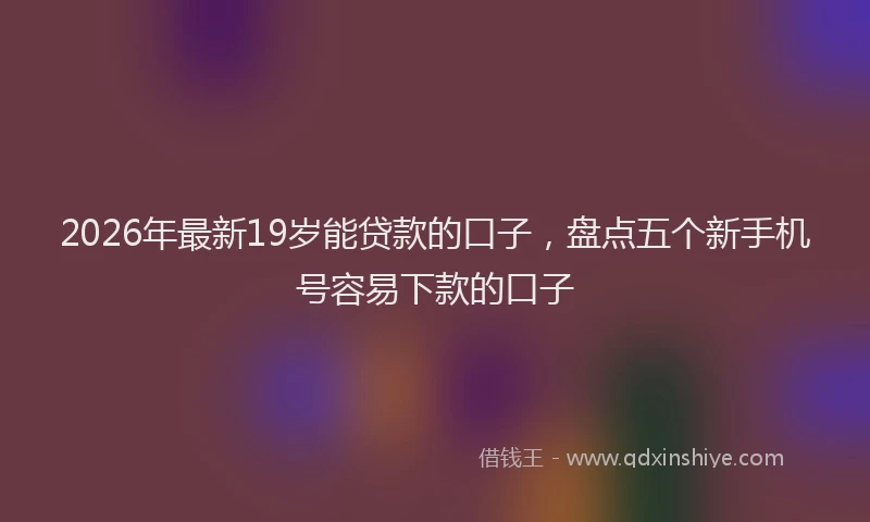 2026年最新19岁能贷款的口子，盘点五个新手机号容易下款的口子