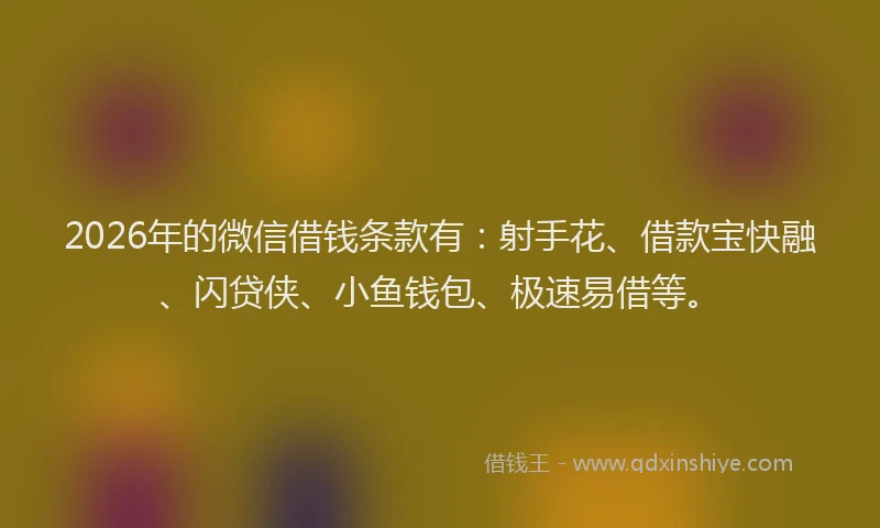 2026年的微信借钱条款有:射手花、借款宝快融、闪贷侠、小鱼钱包、极速易借等。