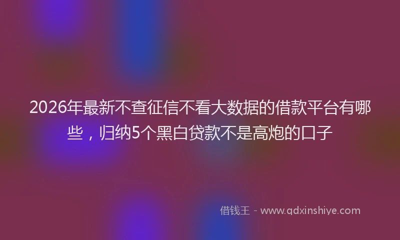 2026年最新不查征信不看大数据的借款平台有哪些，归纳5个黑白贷款不是高炮的口子