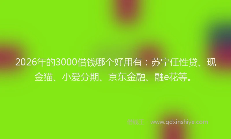 2026年的3000借钱哪个好用有：苏宁任性贷、现金猫、小爱分期、京东金融、融e花等。