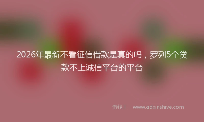 2026年最新不看征信借款是真的吗,罗列5个贷款不上诚信平台的平台