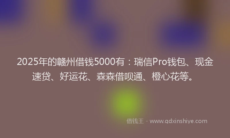 2025年的赣州借钱5000有：瑞信Pro钱包、现金速贷、好运花、森森借呗通、橙心花等。