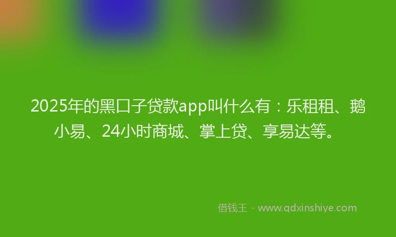 2025年的黑口子贷款app叫什么有：乐租租、鹅小易、24小时商城、掌上贷、享易达等。