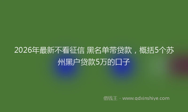 2026年最新不看征信 黑名单带贷款，概括5个苏州黑户贷款5万的口子