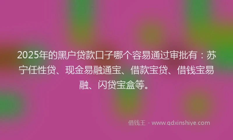 2025年的黑户贷款口子哪个容易通过审批有：苏宁任性贷、现金易融通宝、借款宝贷、借钱宝易融、闪贷宝盒等。