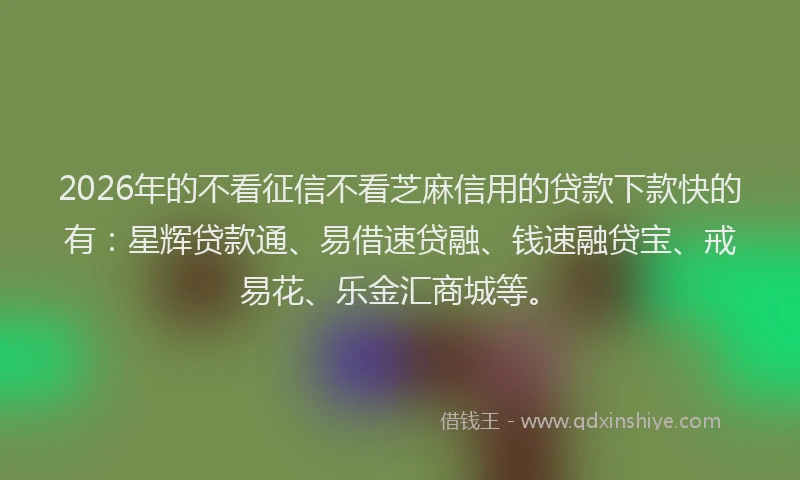 2026年的不看征信不看芝麻信用的贷款下款快的有:星辉贷款通、易借速贷融、钱速融贷宝、戒易花、乐金汇商城等。