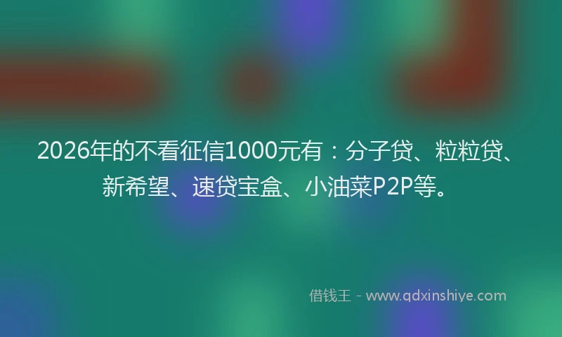 2026年的不看征信1000元有:分子贷、粒粒贷、新希望、速贷宝盒、小油菜P2P等。