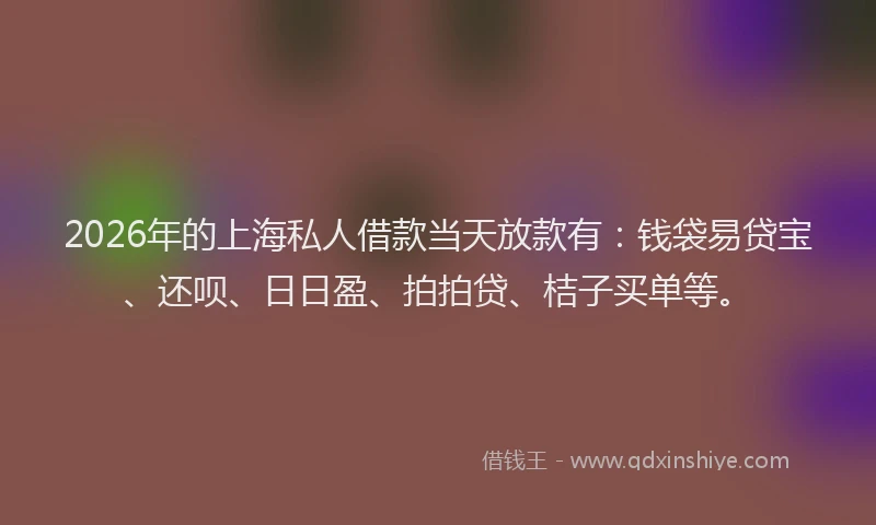 2026年的上海私人借款当天放款有:钱袋易贷宝、还呗、日日盈、拍拍贷、桔子买单等。
