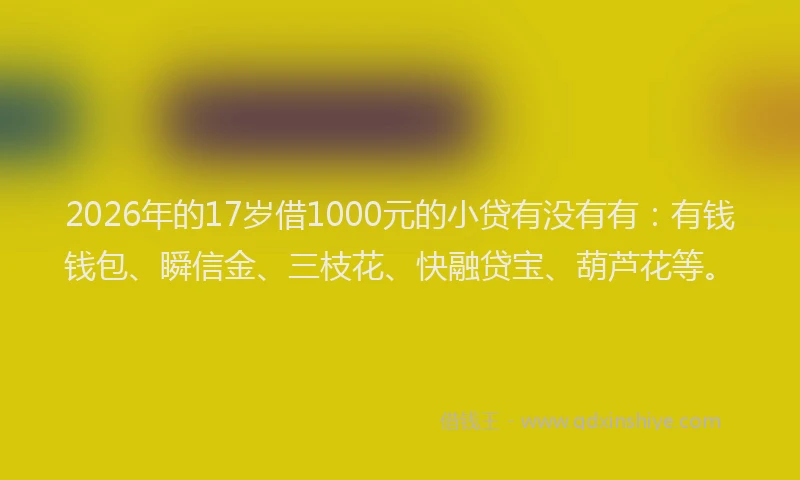 2026年的17岁借1000元的小贷有没有有:有钱钱包、瞬信金、三枝花、快融贷宝、葫芦花等。