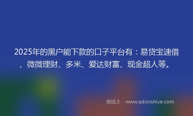 2025年的黑户能下款的口子平台有：易贷宝速借、微微理财、多米、爱达财富、现金超人等。