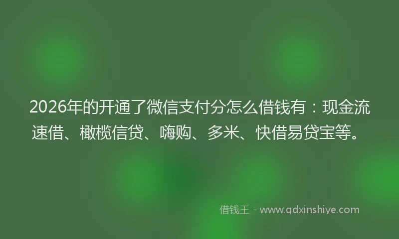 2026年的开通了微信支付分怎么借钱有:现金流速借、橄榄信贷、嗨购、多米、快借易贷宝等。