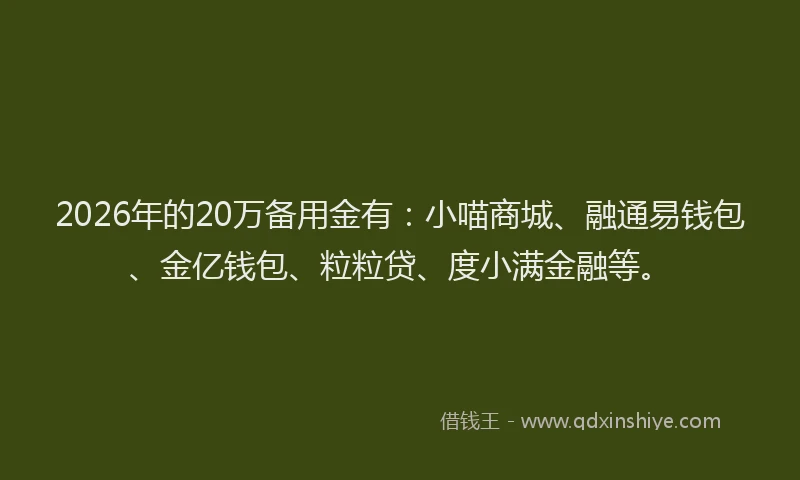 2026年的20万备用金有：小喵商城、融通易钱包、金亿钱包、粒粒贷、度小满金融等。
