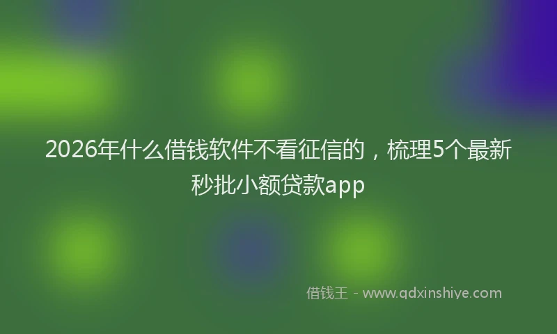 2026年什么借钱软件不看征信的，梳理5个最新秒批小额贷款app