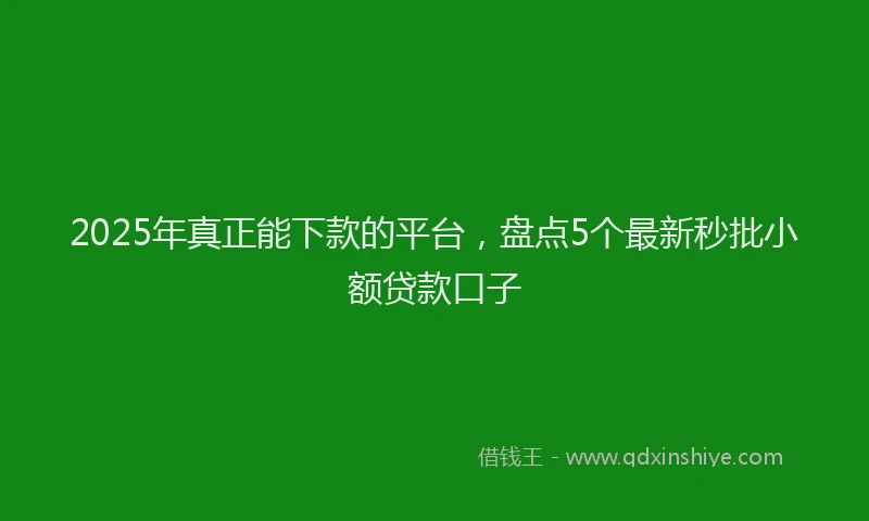 2025年真正能下款的平台，盘点5个最新秒批小额贷款口子