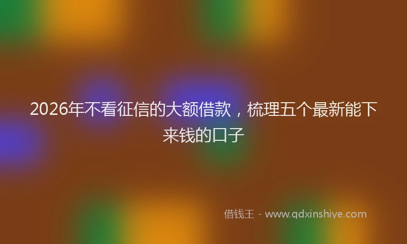 2026年不看征信的大额借款，梳理五个最新能下来钱的口子